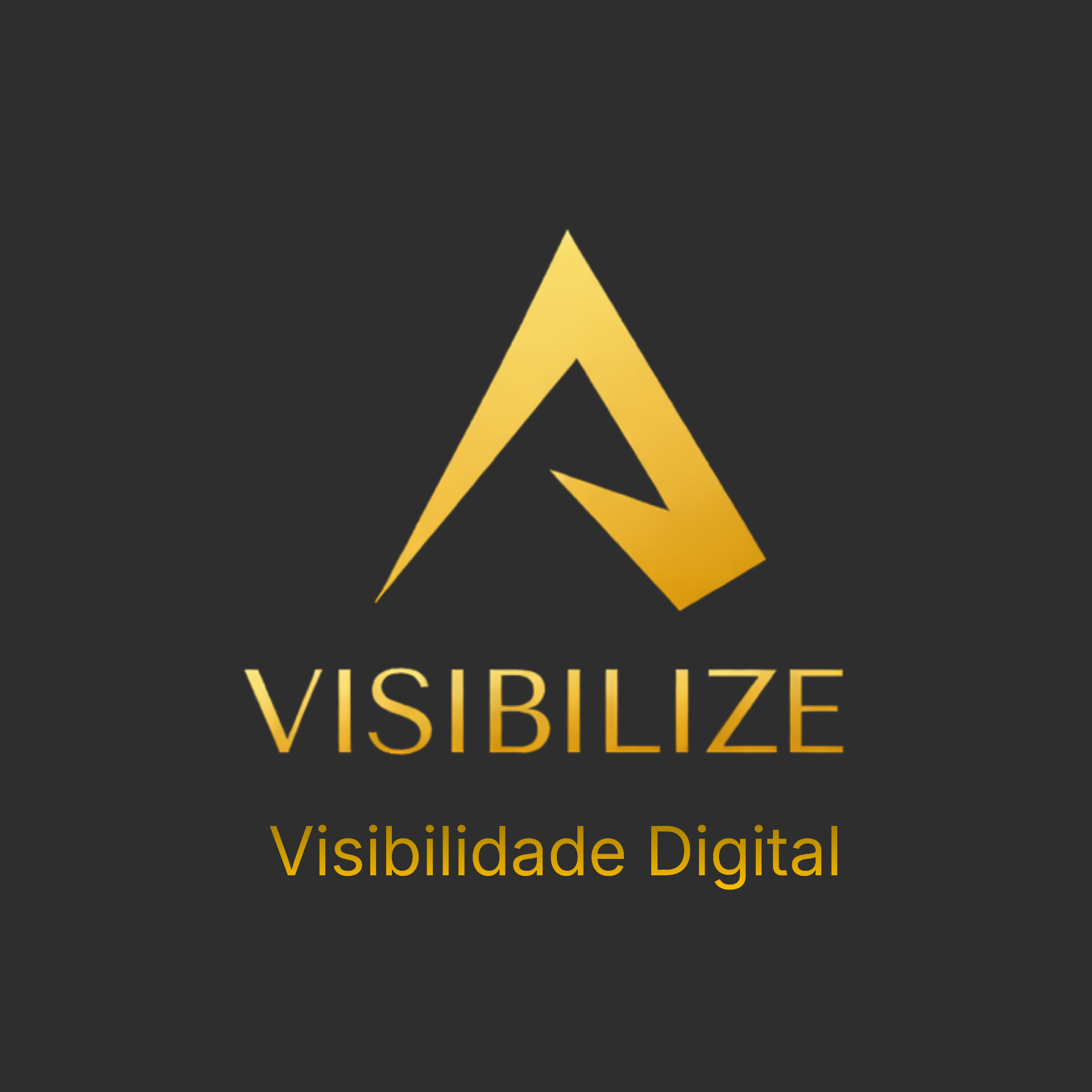 Visibilize - Agência de SEO Local